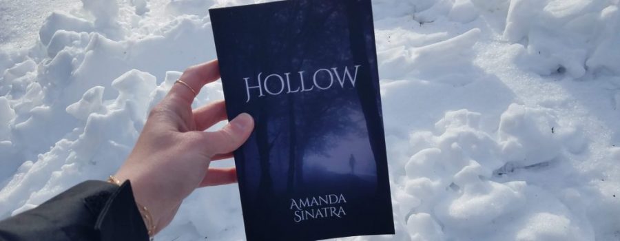 Hollow book
